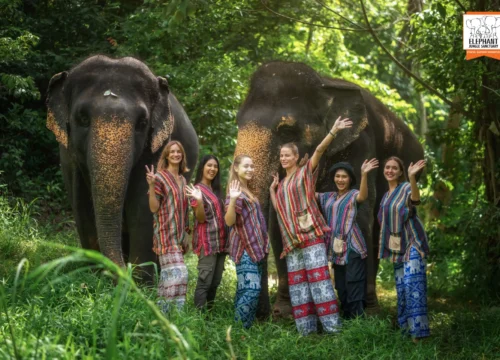 Elephant Jungle Sanctuary- Half Day Visit (Morning or Afternoon)