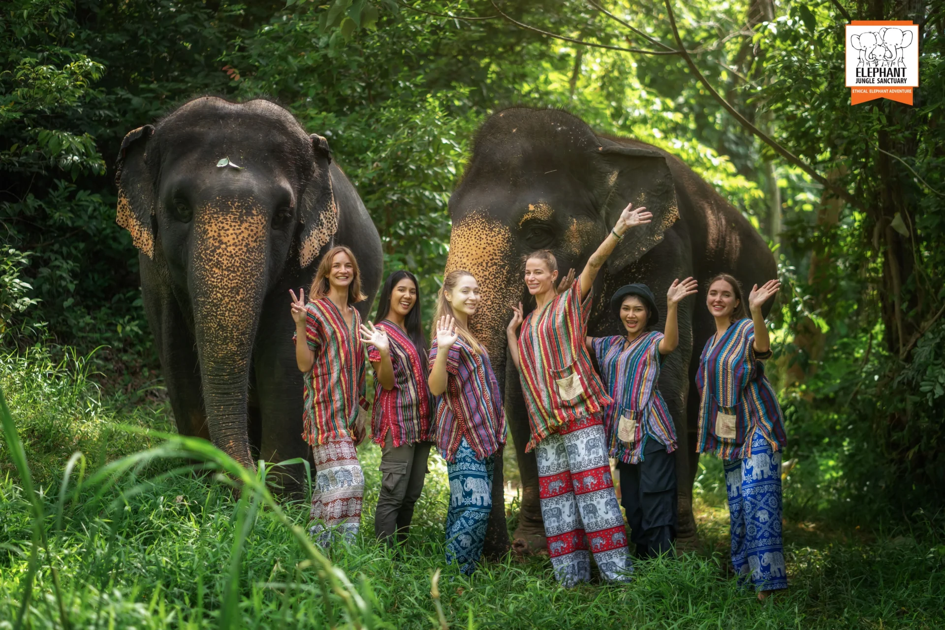 Elephant Jungle Sanctuary- Half Day Visit (Morning or Afternoon)