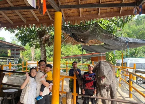 167.Phuket City Tour with ATV 30mins and Elephant Trekking